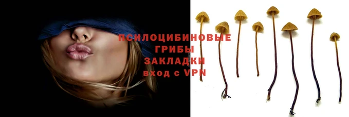 mdma Куйбышев