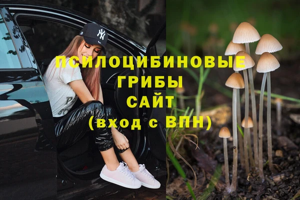 mdma Куйбышев