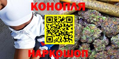 apvp Моздок