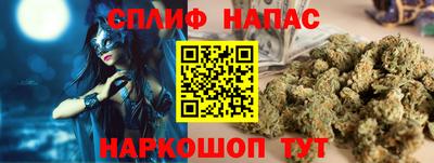 apvp Моздок