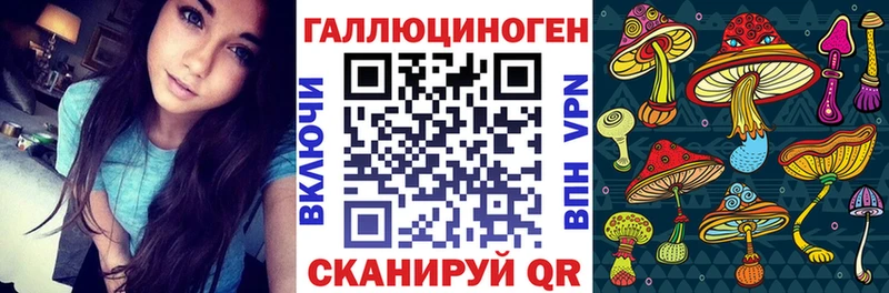 купить закладку Ярославль Галлюциногенные грибы Magic Shrooms