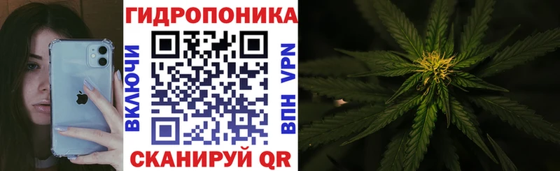 наркошоп  Ярославль  hydra ССЫЛКА  Шишки марихуана OG Kush 