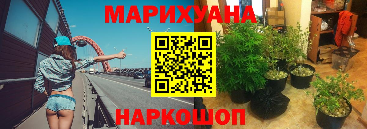 Конопля планчик Ярославль